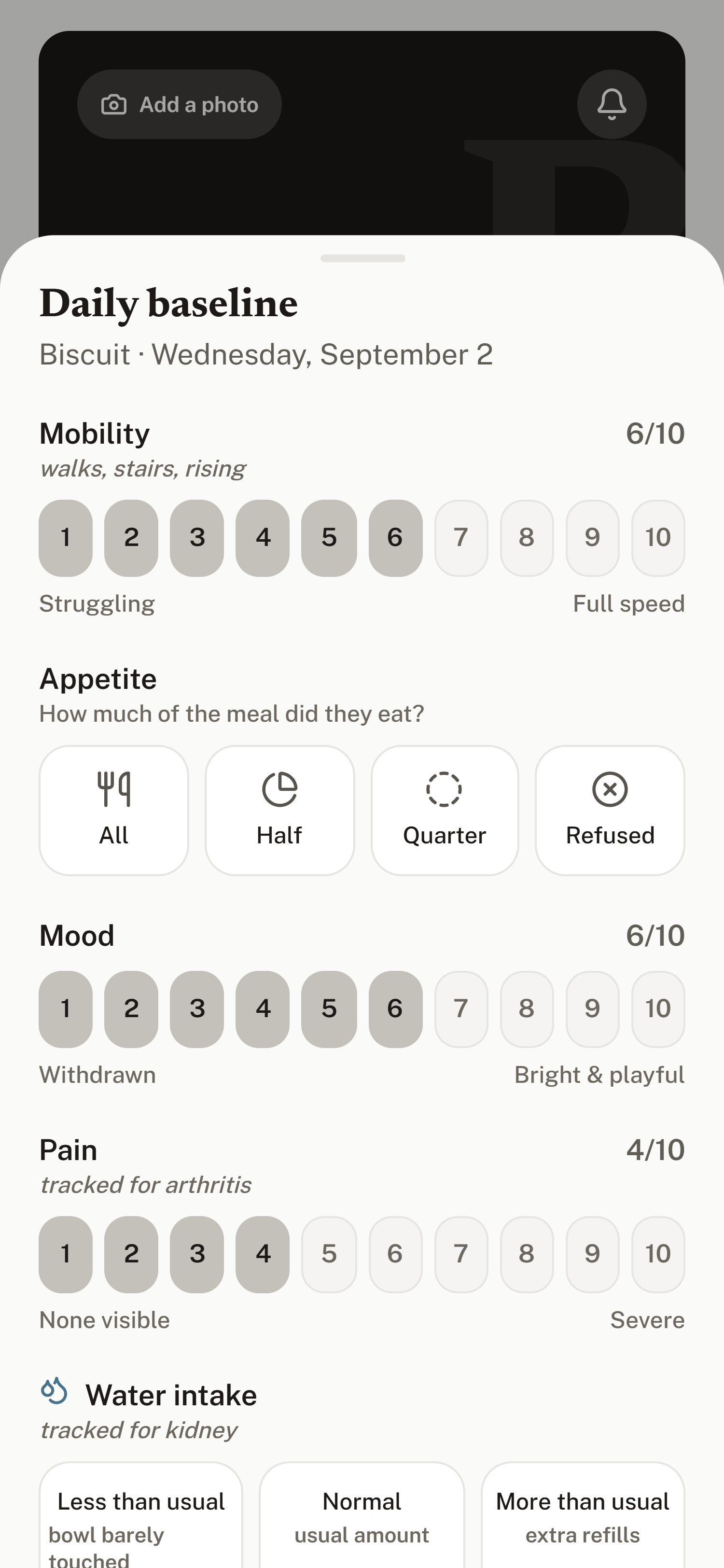 The Daily baseline sheet: mobility with a species-tuned prompt, appetite, mood, pain tracked for arthritis, water intake tracked for kidney disease, and the resting breathing rate